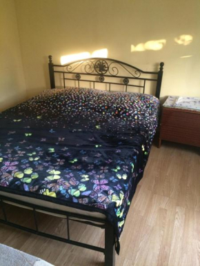 Homestay on Sukhumskoye shosse 39
